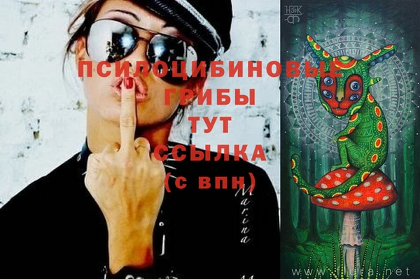 ПСИЛОЦИБИНОВЫЕ ГРИБЫ Алексин