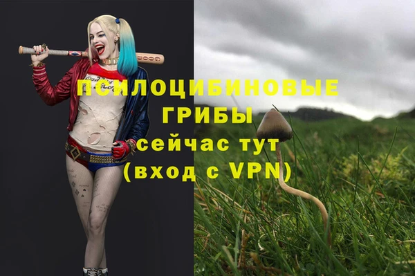 тгк Алексеевка