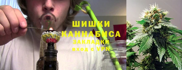 ПСИЛОЦИБИНОВЫЕ ГРИБЫ Алексин